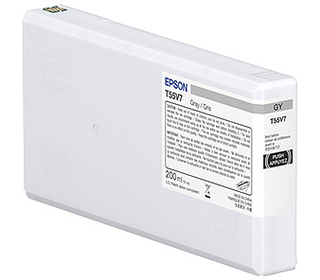 Epson UltraChrome Pro10 cartouche d'encre 1 pièce(s) Original Gris