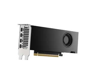 PNY VCNRTX2000ADA-PL carte graphique NVIDIA RTX 2000 Ada 16 Go GDDR6