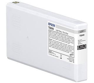 Epson UltraChrome Pro10 cartouche d'encre 1 pièce(s) Original Gris