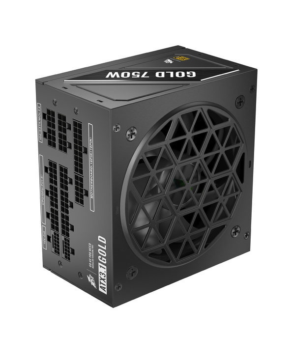 1STPLAYER NGDP-GLD-750-BK-EU unité d'alimentation d'énergie 750 W 24-pin ATX ATX Noir