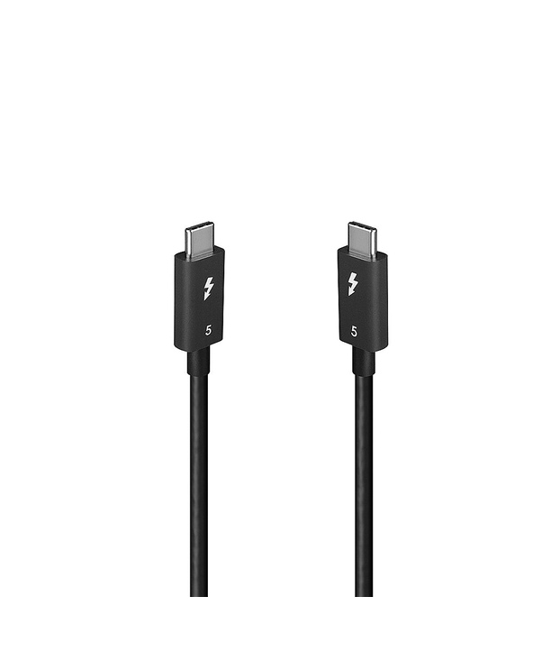 Lindy 31130 Câble Thunderbolt 1 m 80 Gbit/s Noir