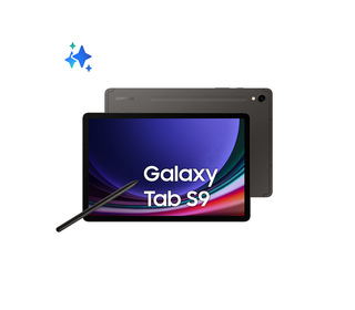 Samsung Galaxy Tab S9 SM-X716B 11" 256 Go Graphite