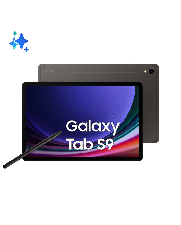 Samsung Galaxy Tab S9 SM-X716B 11" 256 Go Graphite