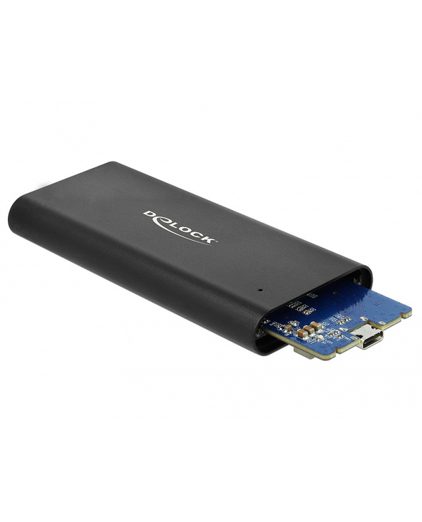 DeLOCK 42614 Boîtier de disques de stockage Enceinte ssd Noir