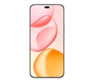 Honor 400 PRO 6.7" 512 Go Gris