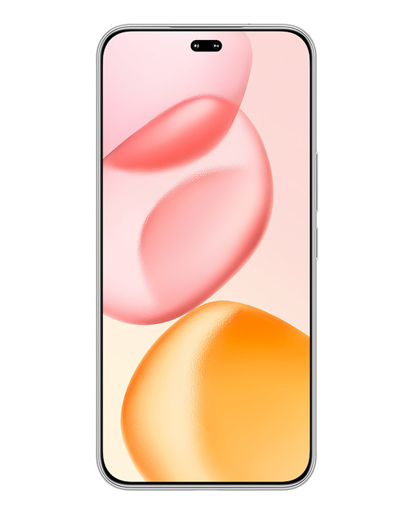 Honor 400 PRO 6.7" 512 Go Gris