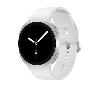 Samsung SM-L335FZSAEUB smartwatche et montre de sport 3,81 cm (1.5") AMOLED 44 mm Numérique 480 x 480 pixels Écran tactile Argen