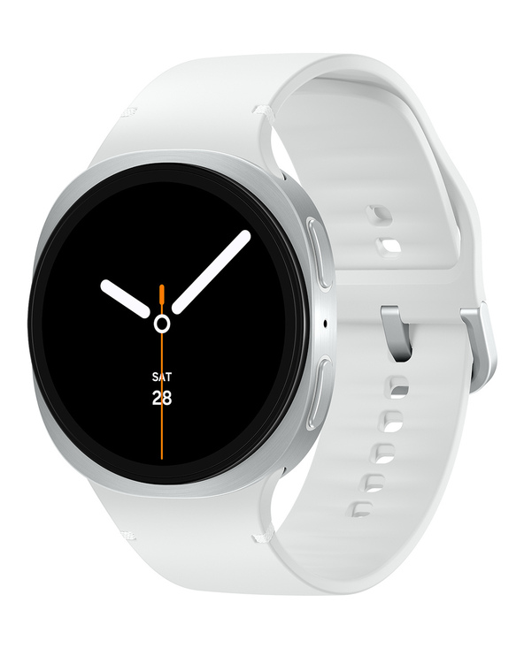 Samsung SM-L335FZSAEUB smartwatche et montre de sport 3,81 cm (1.5") AMOLED 44 mm Numérique 480 x 480 pixels Écran tactile Argen