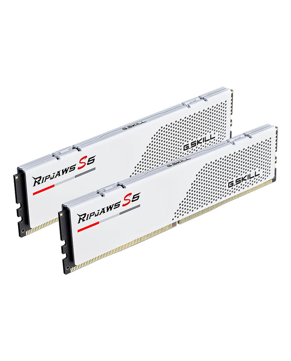 G.Skill Ripjaws S5 F5-6000J2836G16GX2-RS5W module de mémoire 32 Go 2 x 16 Go DDR5 4800 MT/s