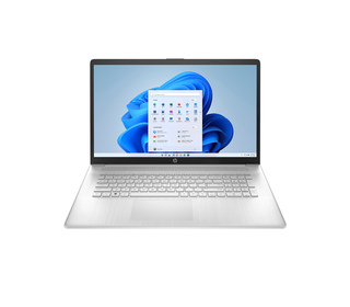 HP LAPTOP 17-CP2012NF 17.3" AMD Ryzen 5 8 Go Argent 512 Go