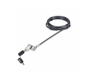 StarTech.com Lot de 25 Antivols Universels de 2m pour Ordinateur Portable, Serrure Universelle à Clé Maîtresse, Sécurité Informa