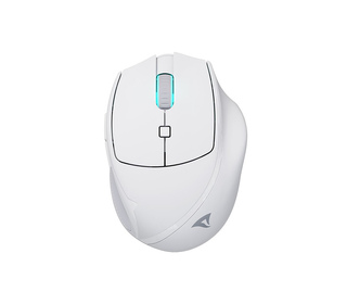Sharkoon OfficePal M25W souris Gaming Droitier RF Wireless + USB Type-C Optique 4000 DPI