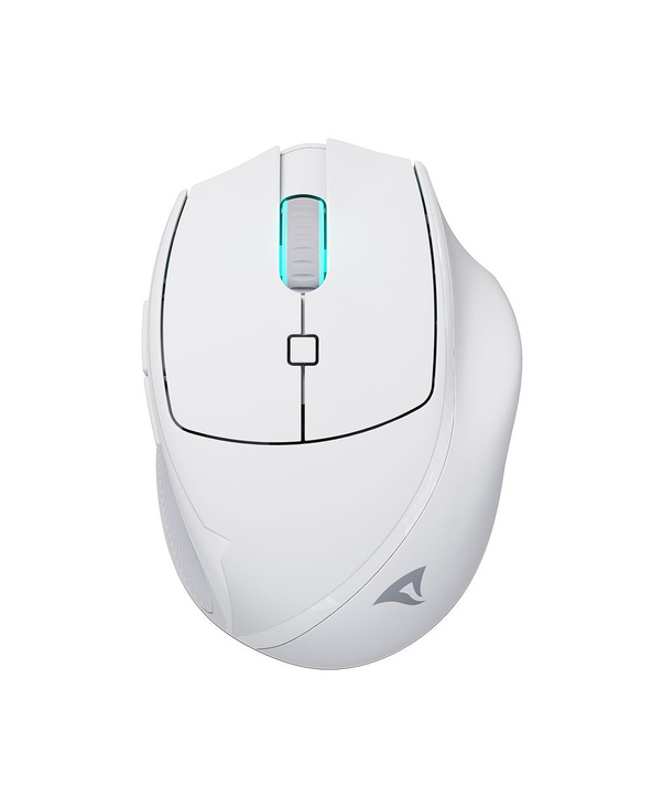 Sharkoon OfficePal M25W souris Gaming Droitier RF Wireless + USB Type-C Optique 4000 DPI