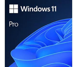 Microsoft Windows 11 Pro 1 licence(s)