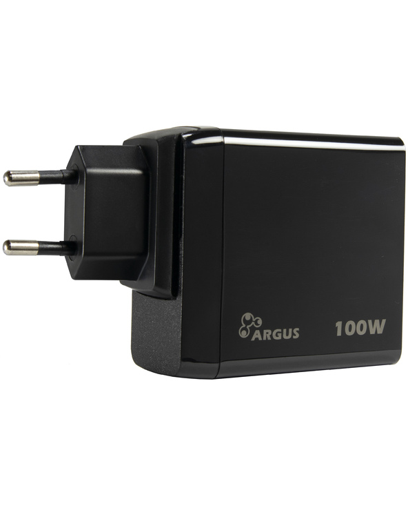 Inter-Tech PD-3100 adaptateur de puissance & onduleur Intérieure 100 W Noir