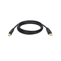 Tripp Lite U022-006 câble USB USB 2.0 1,8 m USB A USB B Noir