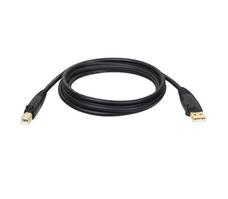 Tripp Lite U022-006 câble USB USB 2.0 1,8 m USB A USB B Noir