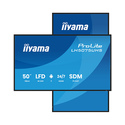 iiyama LH5075UHS-B2AG Écran d'affichage dynamique Écran plat de signalisation numérique 125,7 cm (49.5") LCD Wifi 500 cd/m² 4K U