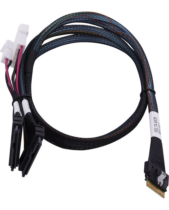 Microchip Technology 2305500-R câble Serial Attached SCSI (SAS) 0,8 m Noir, Multicolore