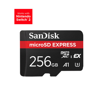 SanDisk Express 256 Go MicroSDXC UHS-I