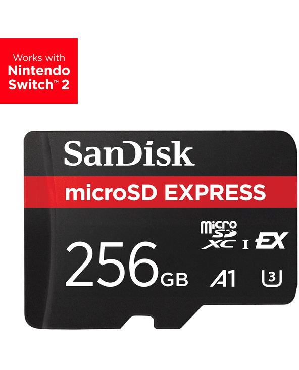 SanDisk Express 256 Go MicroSDXC UHS-I