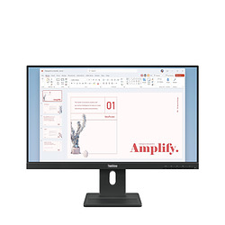 Lenovo ThinkVision E24-40 60,5 cm (23.8") LCD Full HD 6 ms Noir