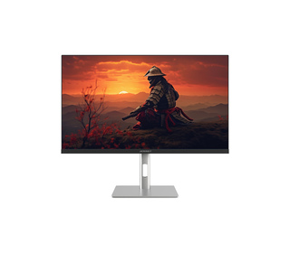 JAPANNEXT JN-I270FHD200F-HSP 68,6 cm (27") LED Full HD 0,5 ms Argent