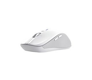 Trust 25674 souris Universel Ambidextre Bluetooth 3200 DPI