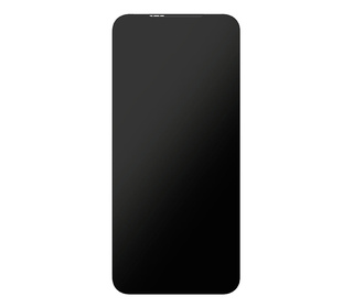 Fairphone F6DISP-1ZW-WW1 pièce de rechange de téléphones mobiles Écran Noir