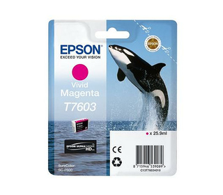 Epson C13T76034N10 cartouche d'encre 1 pièce(s) Original Magenta vif