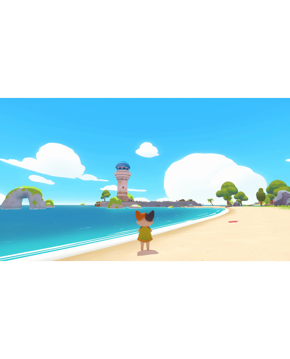 SOEDESCO Petit Island