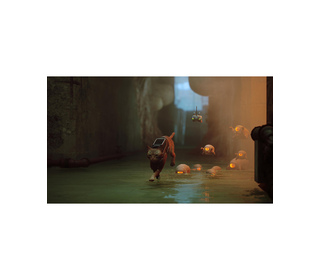 Annapurna Interactive Stray