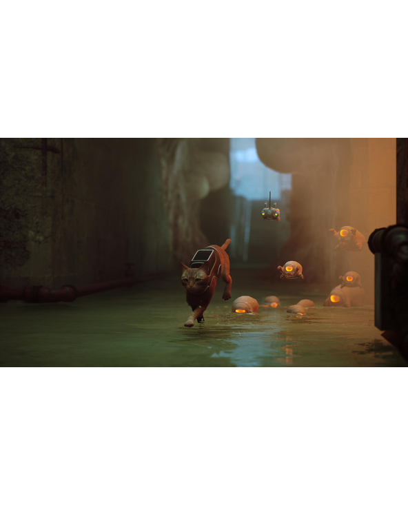 Annapurna Interactive Stray