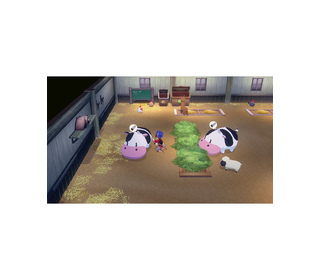 Marvelous STORY OF SEASONS : Grand Bazaar