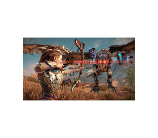 Sony Interactive Entertainment Horizon Zero Dawn Remastered