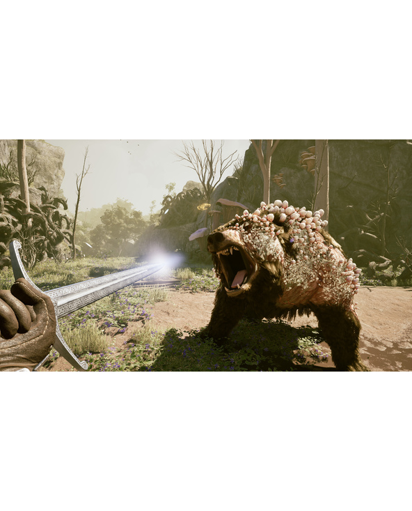 Microsoft Code à télécharger - Avowed - Premium Steelbook Edition