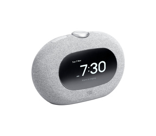 JBL HORIZON-3 Horloge Gris