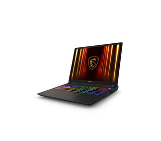 MSI Vector 16 HX AI A2XWHG-664XFR 16" Intel Core Ultra 9 32 Go Gris 1 To