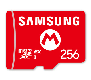 Nintendo Carte mémoire micro SD express 256 Go SAMSUNG