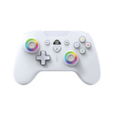 Subsonic SA5633-2 accessoire de jeux vidéo Blanc Bluetooth Manette de jeu Nintendo Switch