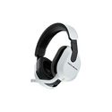 Turtle Beach Casque gaming amplifié multiplateforme sans fil Stealth 600 pour PS5, PS4, PC, Nintendo Switch et mobile - Bluetoot