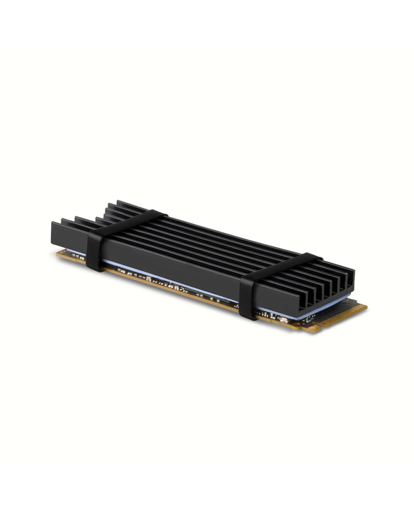 Axagon CLR-M2L6 système de refroidissement d’ordinateur M.2 NVMe SSD, Disque électronique Dissipateur thermique/Radiateur Noir 1