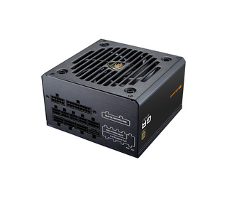 COUGAR CGRGDN-850 unité d'alimentation d'énergie 850 W 20+4 pin ATX ATX Noir