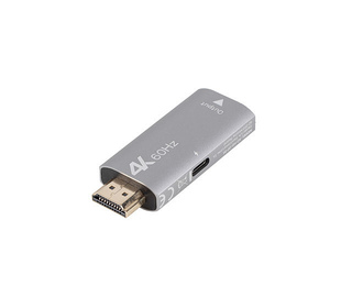 Lanberg AD-HD-DP-01 câble vidéo et adaptateur 0 m HDMI Type A (Standard) DisplayPort Argent