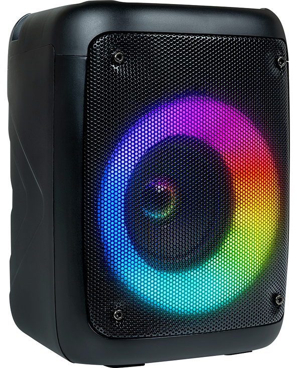 PARTY Light & Sound PARTYBTHPS haut-parleur portable et de fête Noir