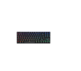 CHERRY MX 8.2 TKL Wireless RGB clavier Gaming RF sans fil + Bluetooth QWERTZ Allemand Noir