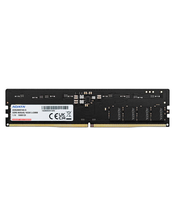 ADATA DDR5 5600 U-DIMM module de mémoire 8 Go 1 x 8 Go