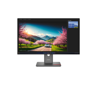 Lenovo ThinkVision P32UD-40 MONITEUR 31.5" LCD 4K Ultra HD 6 ms Noir