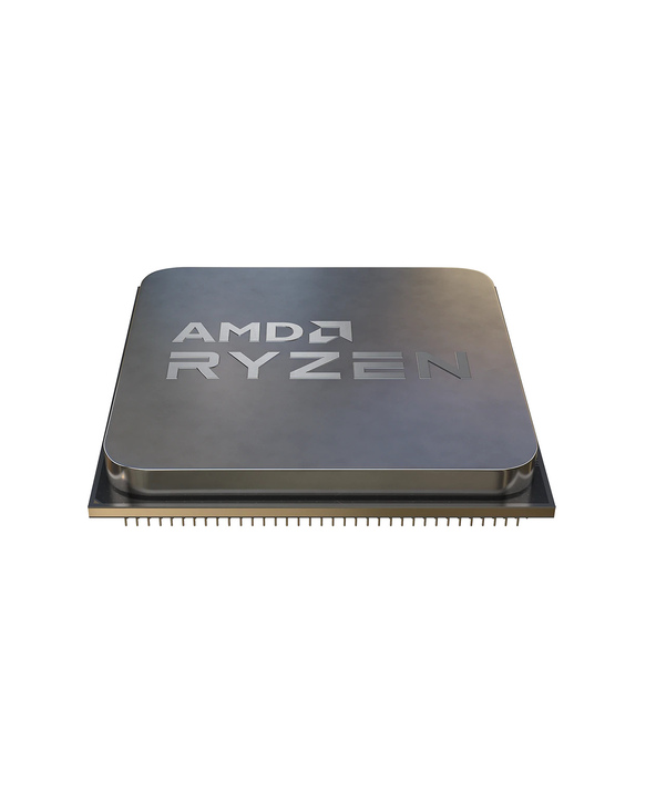 AMD Ryzen 5 5500 processeur 3,6 GHz 16 Mo L3 Plateau