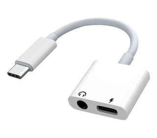 Samsung Adaptateur Type C vers ports duo Jack & USB C